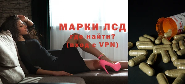 прущие грибы Лагань